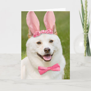 Glad påsk any Shiba Inu Hund i Bunny Öron Helgkort