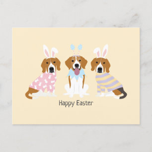 Glad påsk Beagle Hundar Vykort