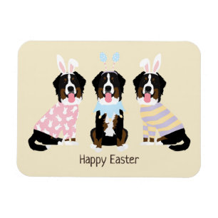 Glad påsk Bernese Mountain Hundar Magnet