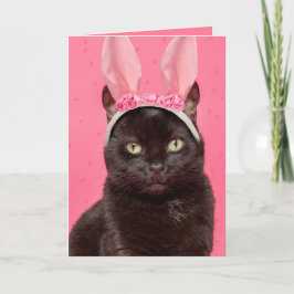 Glad påsk Black Cat i Bunny Öron Helgkort