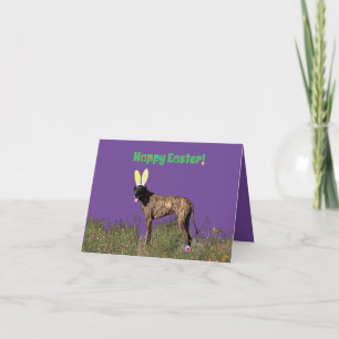 Glad påsk Brindle Great dane Kort