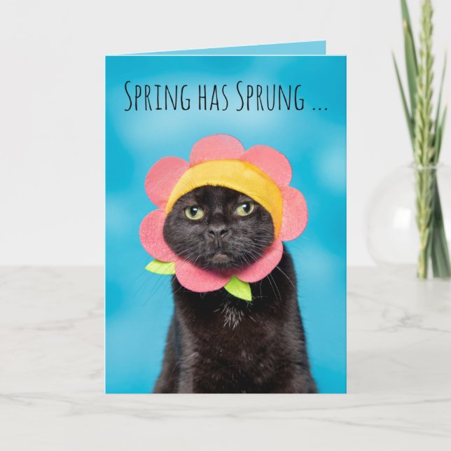 Glad påsk Cute Cat i Flower Hat Humor Helgkort (Framsida)