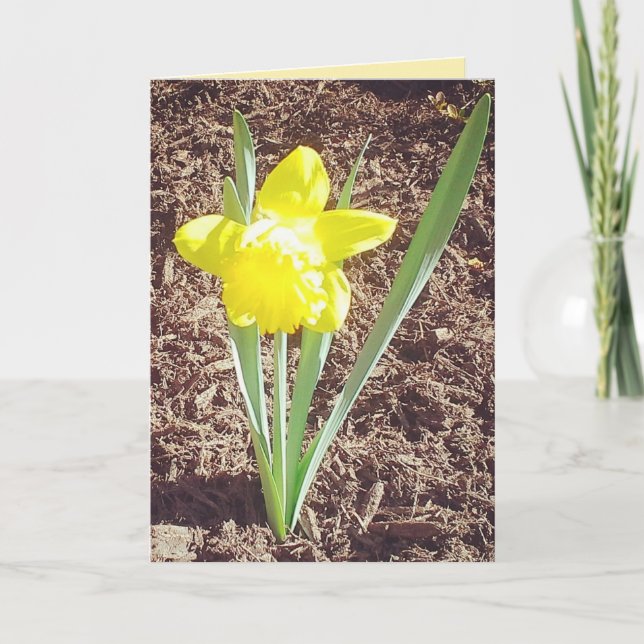 Glad påsk Daffodil Card Helgkort (Framsida)