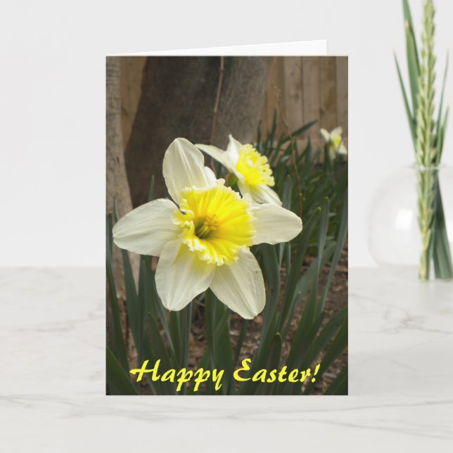 Glad påsk-Daffodils Card Helgkort (Framsida)