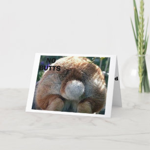 GLAD PÅSK/DET FINNS INGA KNAPPAR PÅ DENNA ÖNSKAN HELGKORT