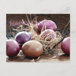 Glad påsk Egg Hunt-vykort Vykort