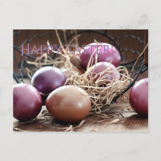 Glad påsk Egg Hunt-vykort Vykort