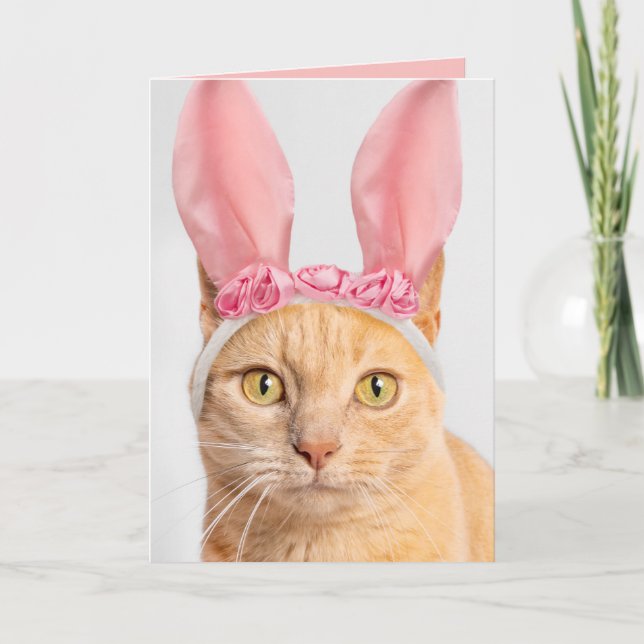 Glad påsk för någon Orange Tabby katt i Bunny Helgkort (Framsida)