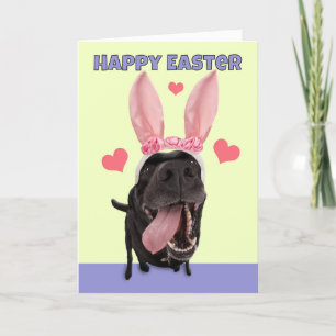 Glad påsk för vem som helst Namn Hund i Bunny Öron Helgkort