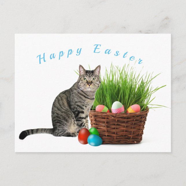 Glad Påsk från din katt Postkort Vykort (Framsida)