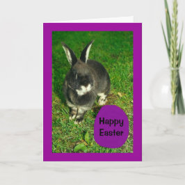 Glad påsk från Somebunny som älskar dig! Helgkort