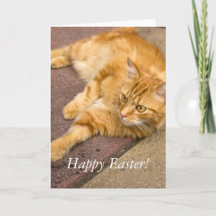 Glad påsk Ginger Cat Helgdag Card Helgkort