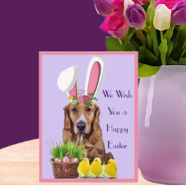 Glad påsk Golden Retriever med Chickar och ägg Vykort