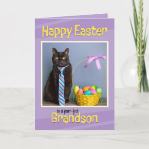 Glad påsk Grandson Cute Cat in Tie Helgkort