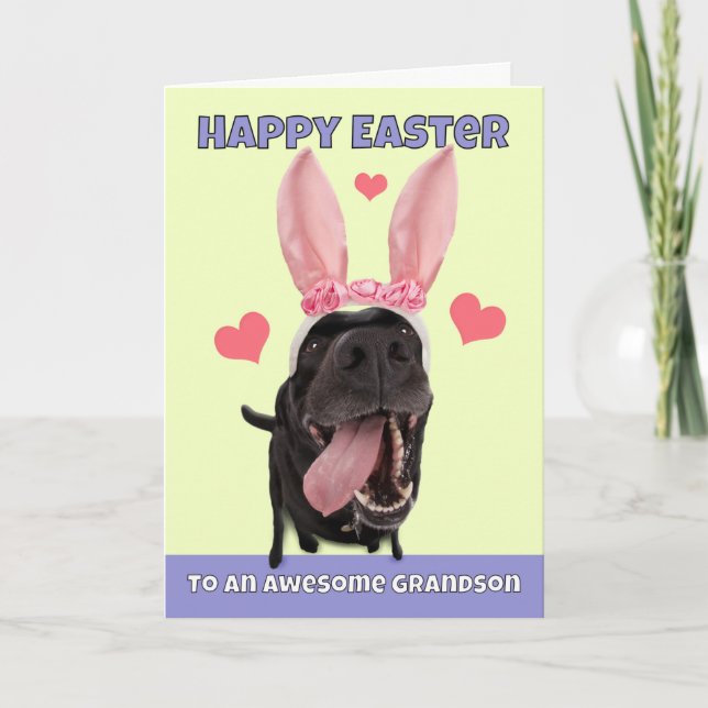 Glad påsk Grandson Hund i Bunny Öron Humor Helgkort (Framsida)