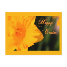 Glad påsk Gult Vår Daffodil Flower