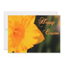 Glad påsk Gult Vår Daffodil Flower