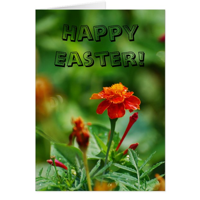 Glad påsk! hälsningskort (Framsidan)