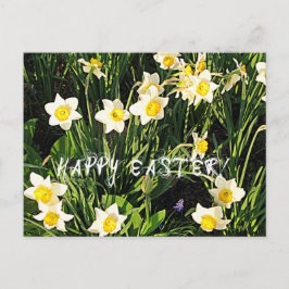 Glad påsk helg vykort