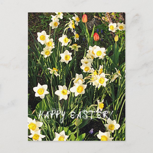 Glad påsk helg vykort (Framsida)