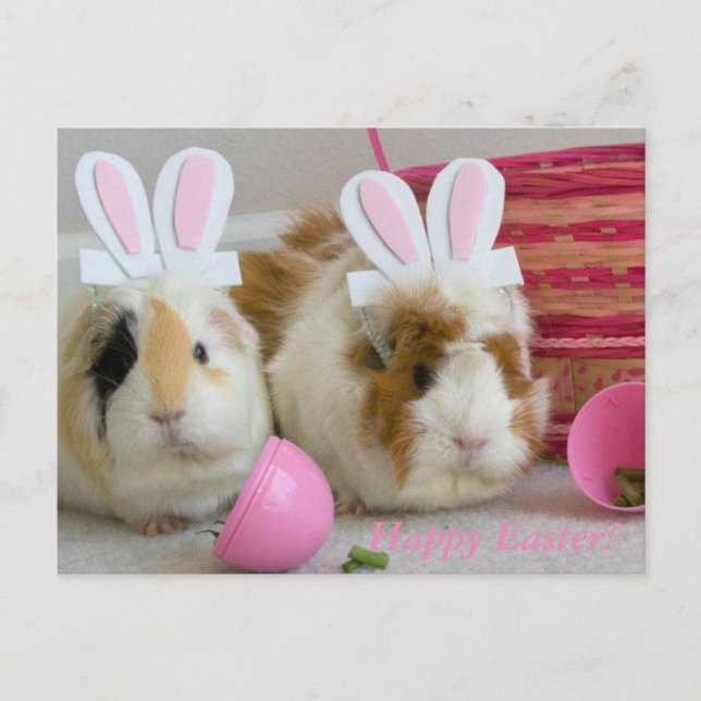 glad påsk helg vykort (Framsida)