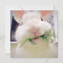 Glad påsk Helgdag Card Julkort