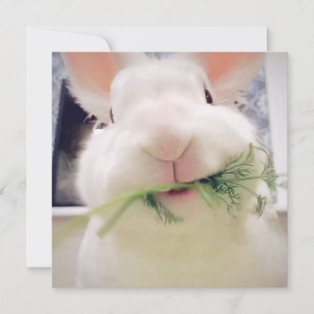 Glad påsk Helgdag Card Julkort (Framsida)