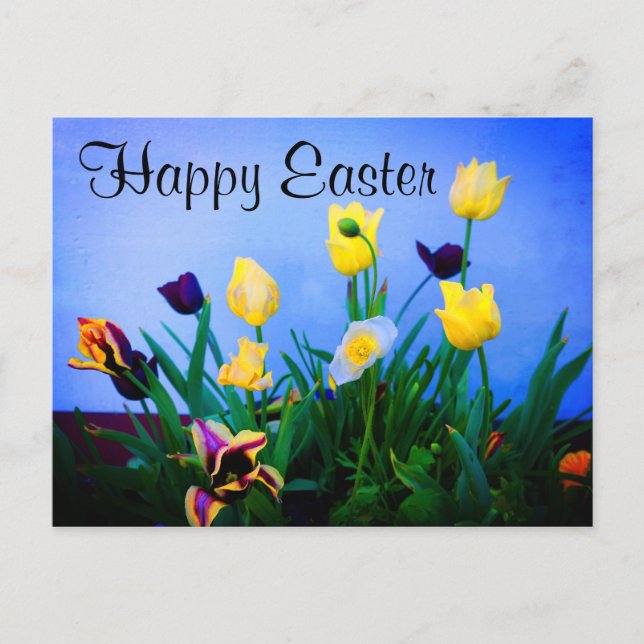 Glad påsk Olika dragspel nr 2 vykort (Framsida)