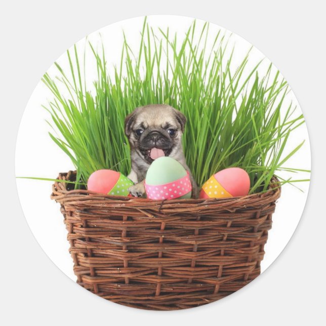 Glad påsk puggvalp runt klistermärke (Framsida)