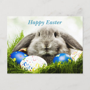 Glad påsk Rabbit Meddelande Vykort
