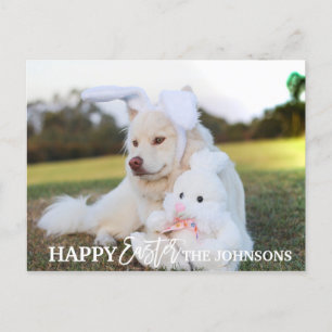 GLAD PÅSK Retriever Hund Valp Kaninöron FOTO Helg Vykort