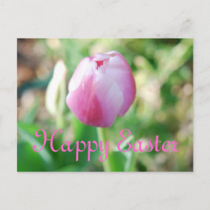 Glad påsk Rosa Tulip Helg Vykort