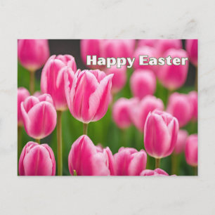 Glad påsk Rosa Tulpan Blommor  Helg Vykort