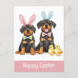 Glad påsk Rottweiler Hundar Bunny Öron Vykort