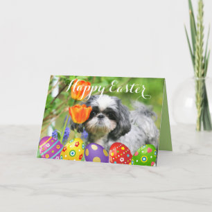 Glad påsk Shih Tzu-filmkort Helgkort