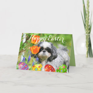 Glad påsk Shih Tzu-filmkort Helgkort