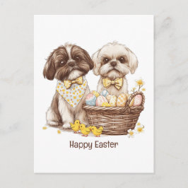 Glad påsk Shih Tzu hundar Helg Vykort