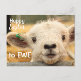 Glad påsk till EWE. Helg Vykort