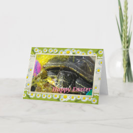 Glad påsk Turtle Helgkort
