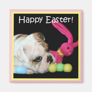 Glad påskbulldoggmagnet magnet