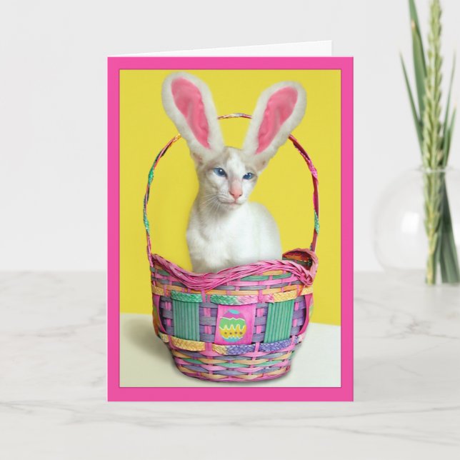 Glad påskkaninkatt helgkort (Framsida)