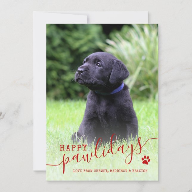 Glad Pawlidays Hund Foto Modern Jul för Husdjur Julkort (Framsida)