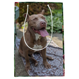 Glad Pitbull med Blommor Fotografi