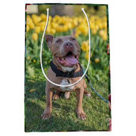 Glad Pitbull med Blommor Fotografi