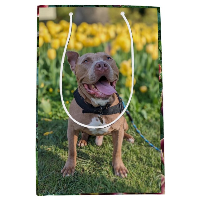 Glad Pitbull med Blommor Fotografi  (Framsidan)