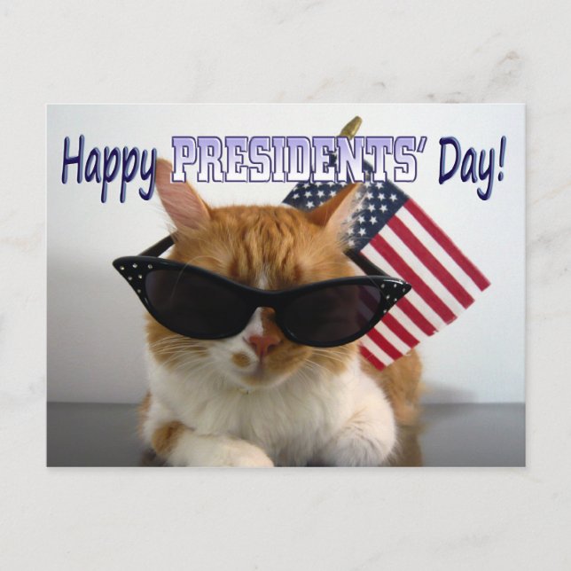 Glad presidentsdag Cool Cat med flaggstång vykort (Framsida)