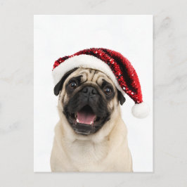 Glad Pug I Röd Glittrig Tomtehatt Jul Helg Vykort