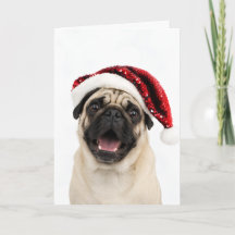 Glad Pug I Röd Glittrig Tomtehatt Jul