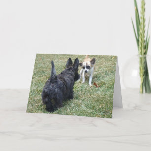 Glad Scottish Terrier & Vän Kort