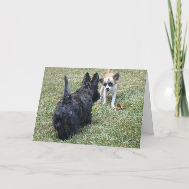Glad Scottish Terrier & Vän Kort (Framsida)